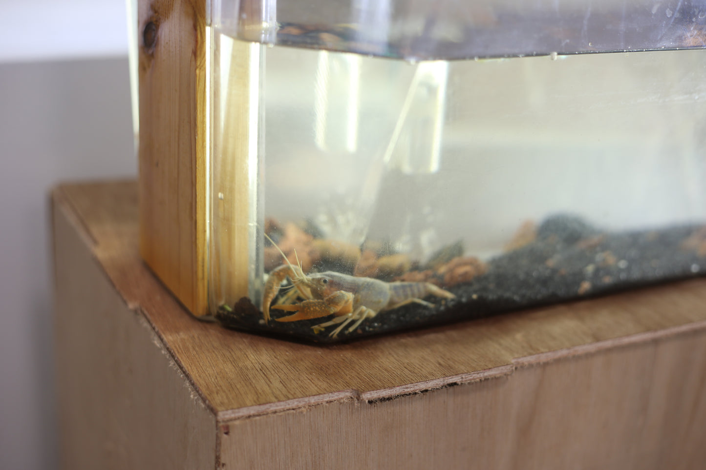 the aquaponic U frame  (aqua frame series )