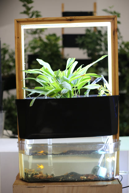 the aquaponic U frame  (aqua frame series )