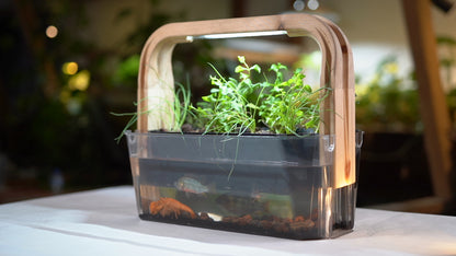 The aquaponic home (AquaKeep Garden)