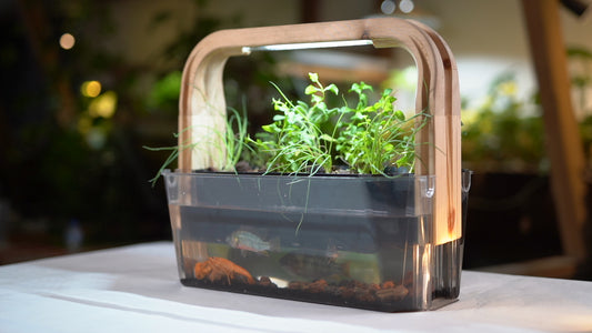 The aquaponic home (AquaKeep Garden)