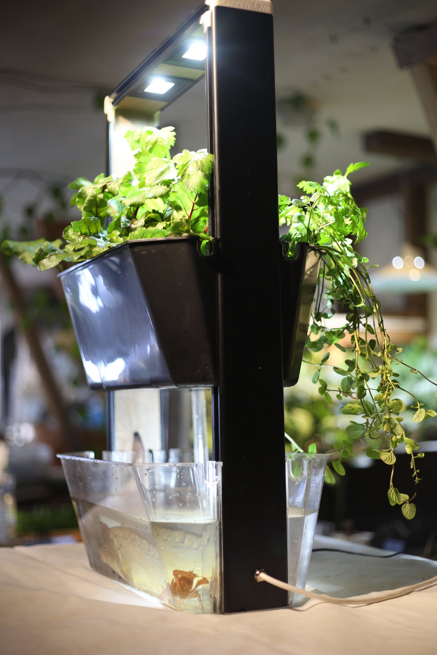 the aquaponic U frame  (aqua frame series )