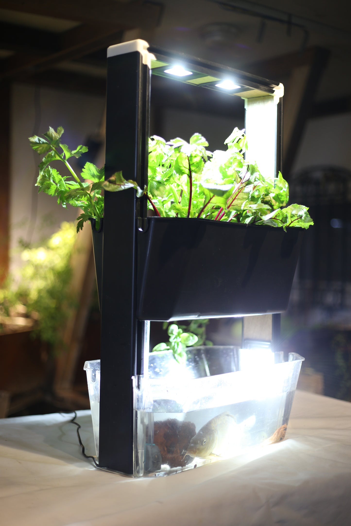 the aquaponic U frame  (aqua frame series )