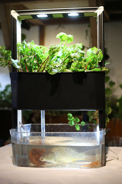 the aquaponic U frame  (aqua frame series )