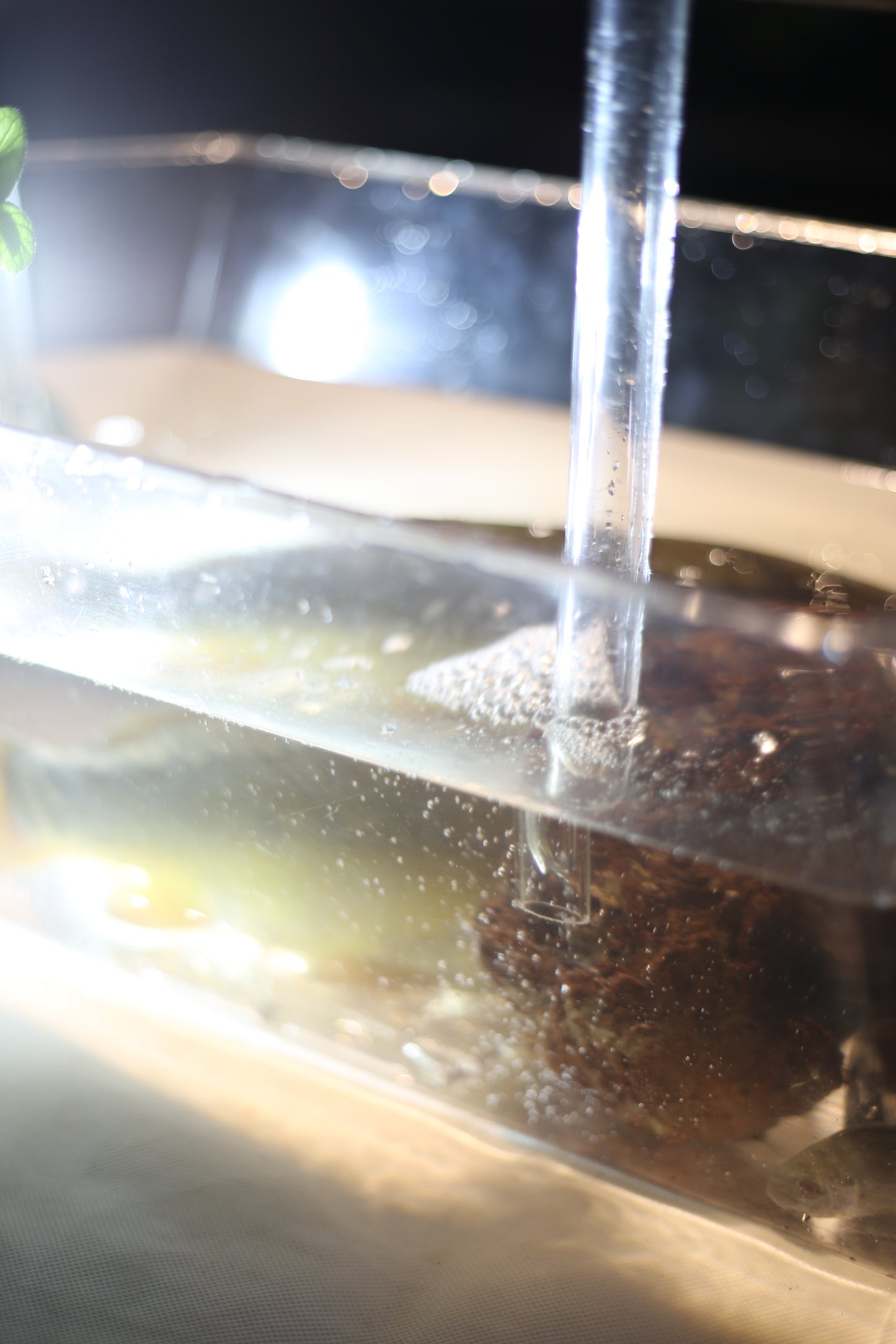 the aquaponic U frame  (aqua frame series )